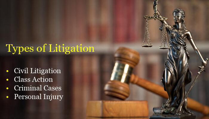 Common Types of Litigation