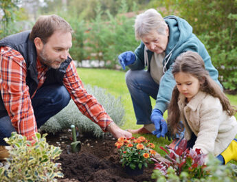Tips For Designing Your Ideal Family Garden